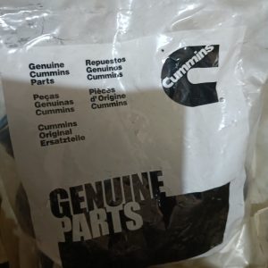 Valve Oil Seal (6D102) Cummins Genuine Part
