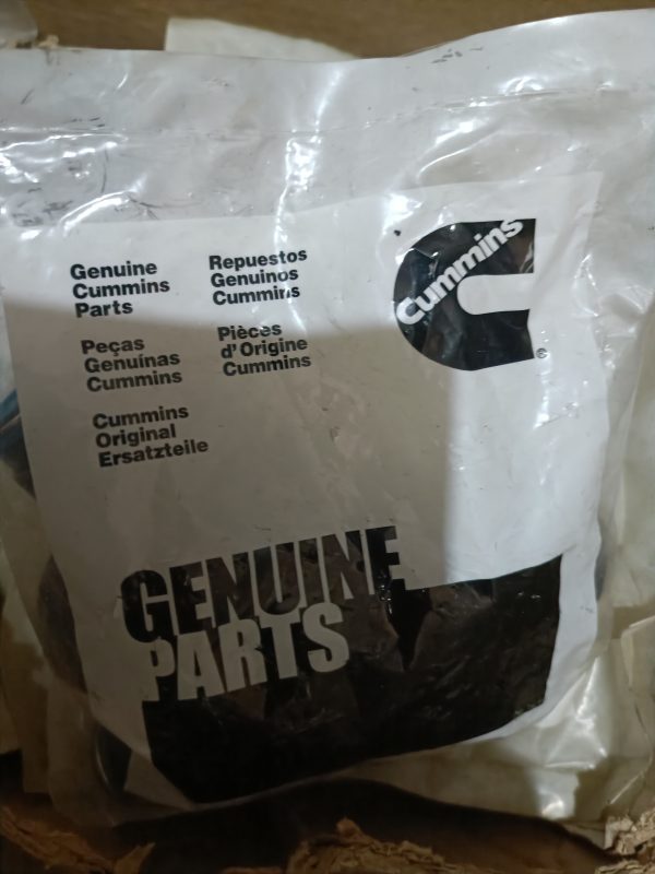 Valve Oil Seal (6D102) Cummins Genuine Part
