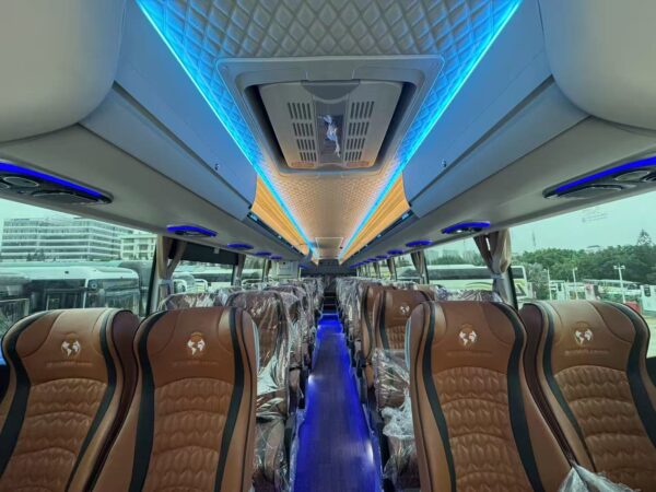 TAM Bus 49+1+1 Seats Diesel Euro 5 MY 2025 Gold/Black - Image 7